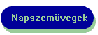 Napszemüvegek
